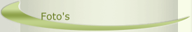 Foto's