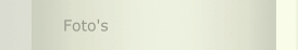 Foto's